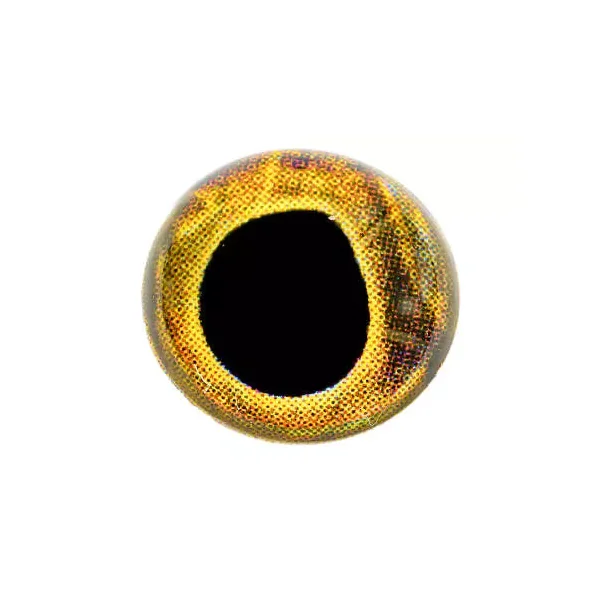 4D EYES X-REAL hotfly - 20 pc. - Imagen 3