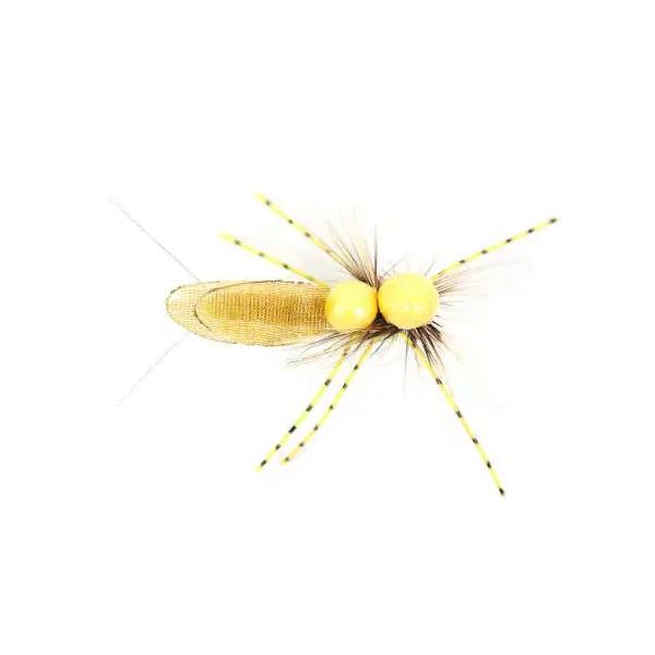 Ales Large Stonefly SPI mosca spinning