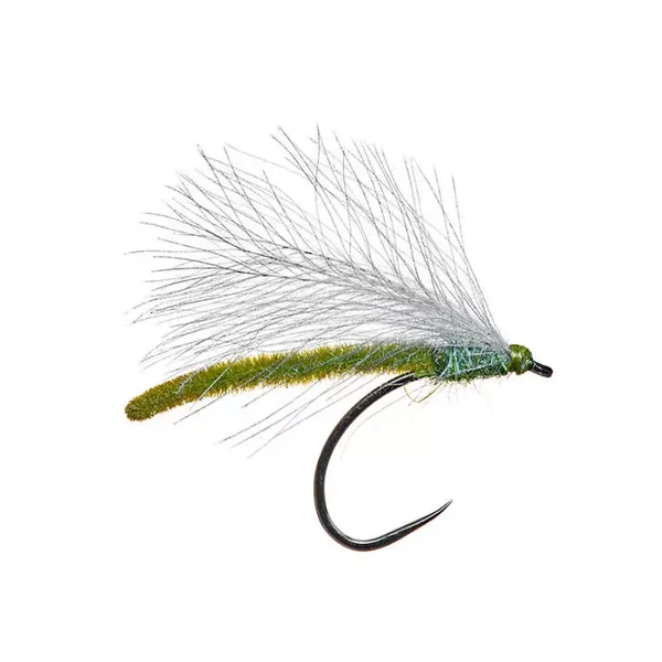 Allis Olive Last Solution BL mosca seca