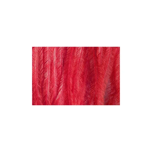 AVESTRUZ (Ostrich Herl)