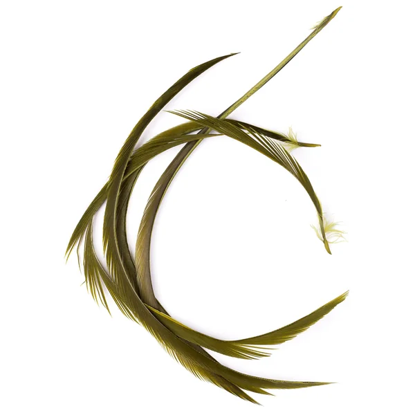 Biots de ganso Veniard