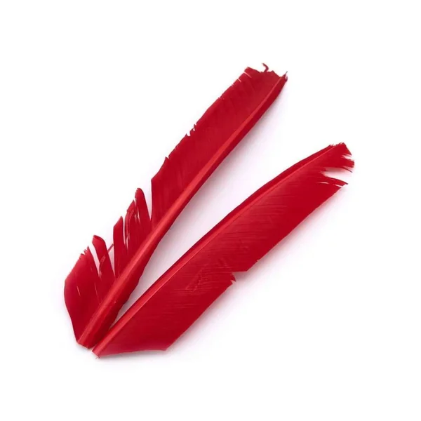 BIOTS DE PAVO - TURKEY BIOT QUILLS