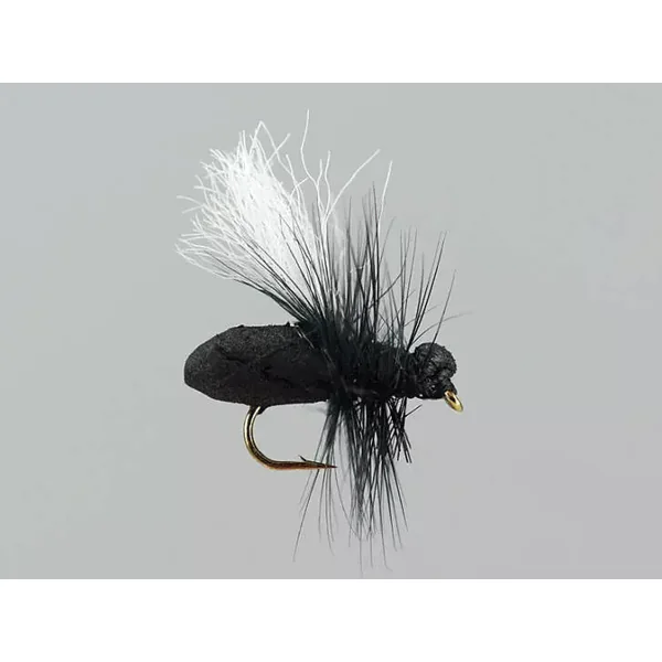 Black Ant Hf hormiga