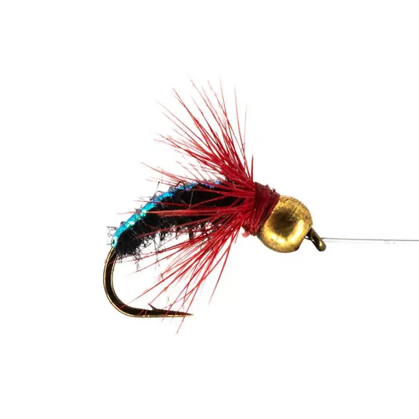 Black Red Grayling Star ninfa para cuerda