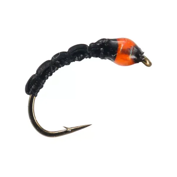 Black Spot Buzzer ninfa
