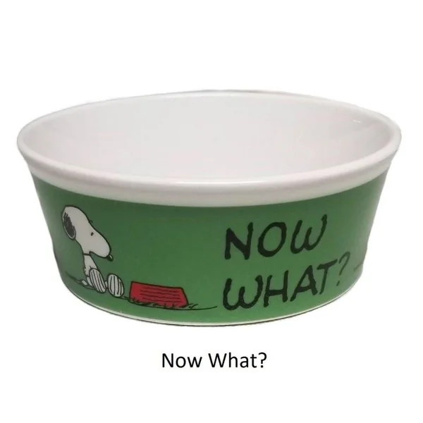 Bowl de Comida para Mascota Snoopy Now What? 13cm