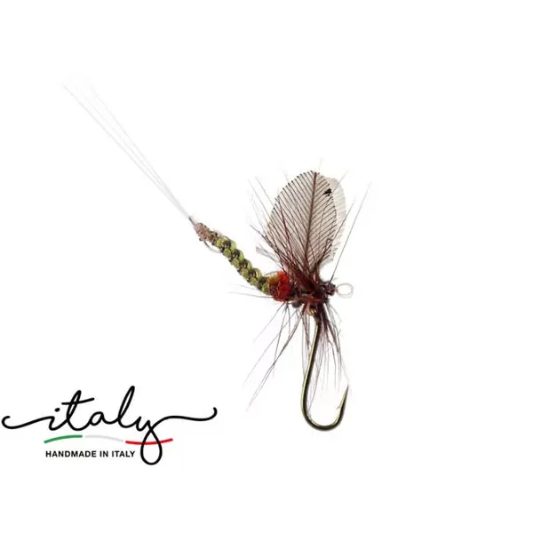 BWO - 8 mm mosca Terenzio