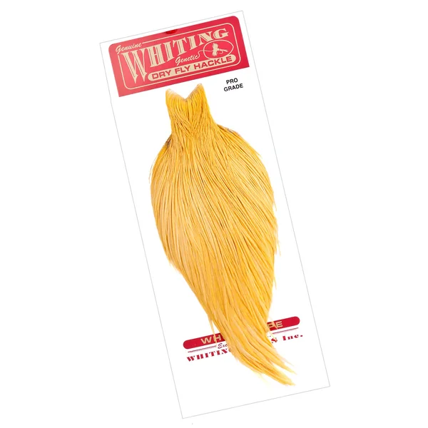 Cabo Whiting Pro Grade