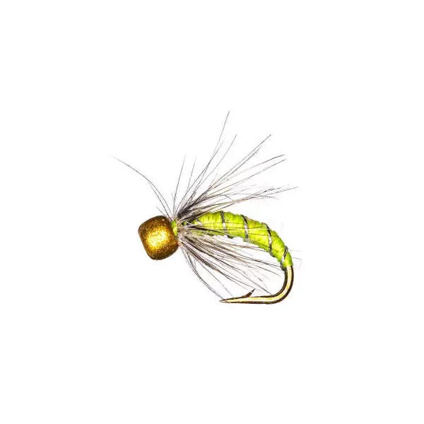 Camolera Trucha BRIGHT MIX 2 - Imagen 2