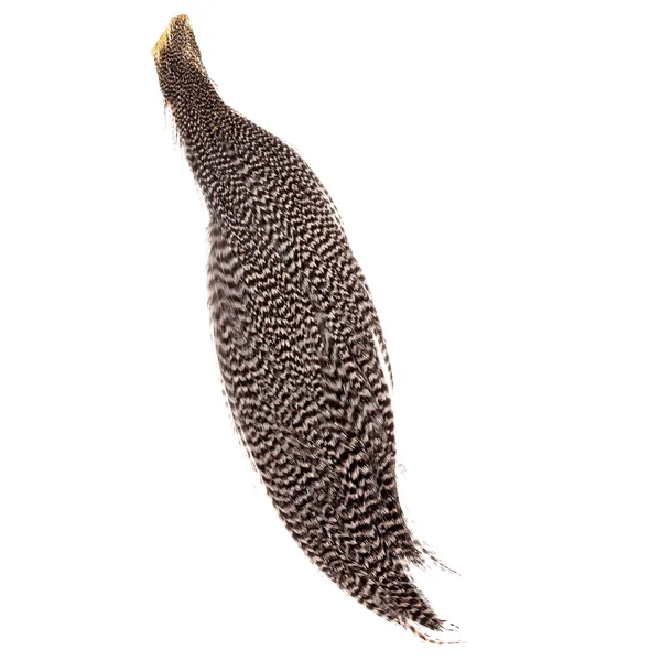 Capas Wapsi Ewing Half Grizzly Rooster Dryfly