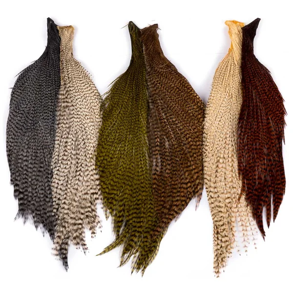 Capas Wapsi Ewing Half Grizzly Rooster Dryfly - Imagen 2