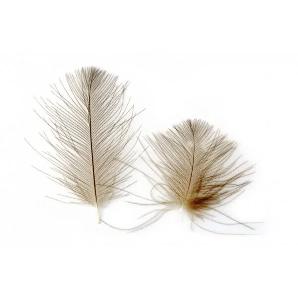 Castor CDC Selecto natural Khaki