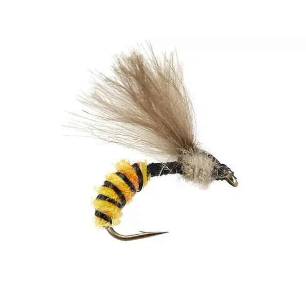 CDC Catching Wasp mosca seca