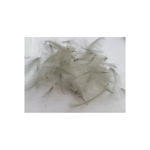 CDC HF FLY 1/2G