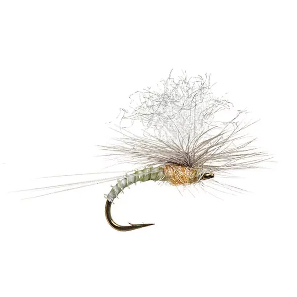 Christiaens GT Adult - PMD mosca seca