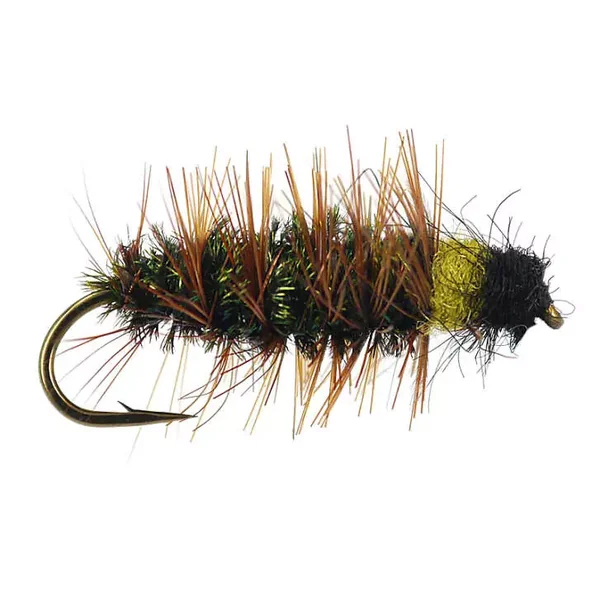 Classic Peeping Caddis Variant II ninfa