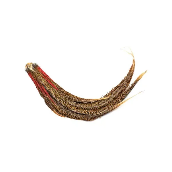COLA COMPLETA DE FAISAN DORADO hotfly