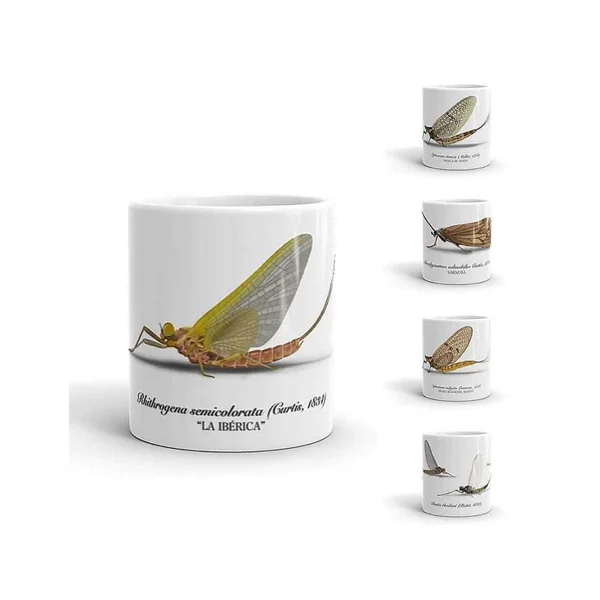 COLECCION DE TAZAS CON IMAGENES DE MOSCAS