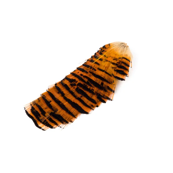 Collar Veniard Golden Pheasant Tippet - Imagen 3