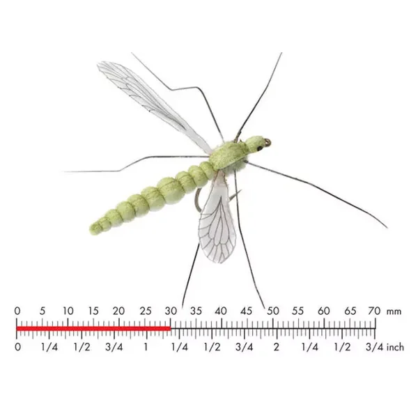 Cranefly Olive Grey (25mm Body) mosca JSon