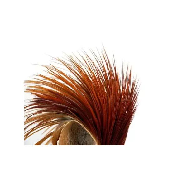 CUELLO DE GALLO keough hackles - tyer's grade - Imagen 3