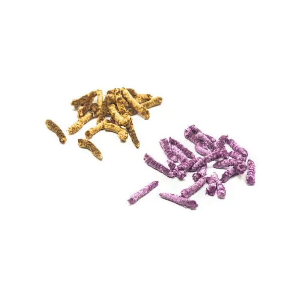 CUERPOS GUSANOS DE MIEL hotfly - 25 pc.