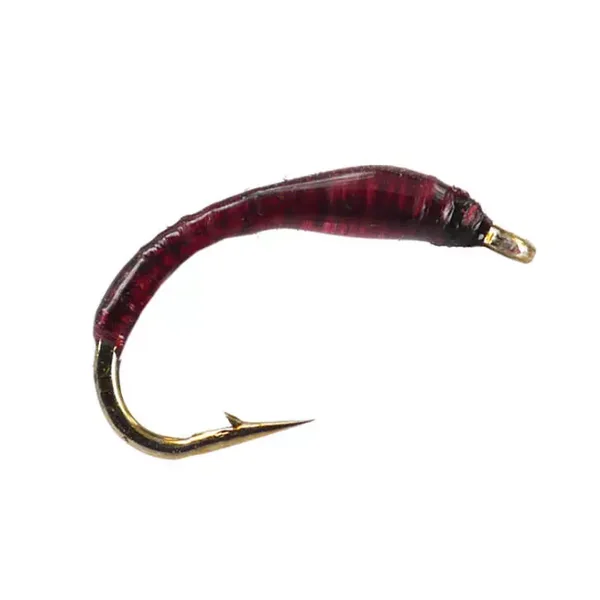 Dark Purple Buzzer ninfa