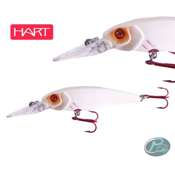 Echobottom HART - PescaBass Shop