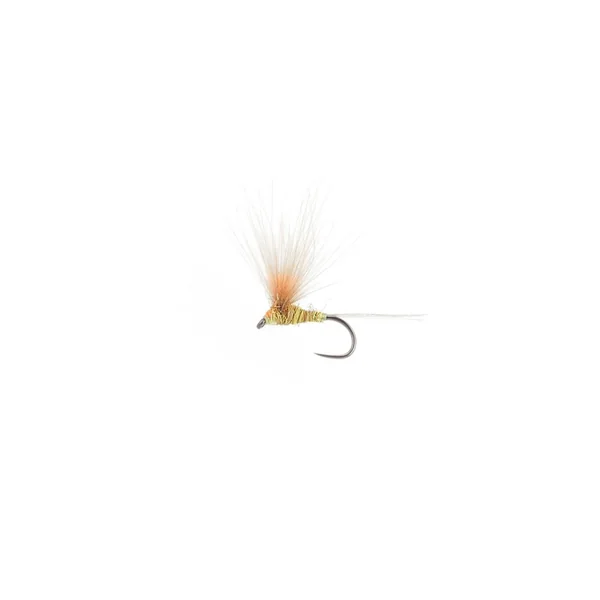 EFEMERA FLY RITE 34 - Imagen 2