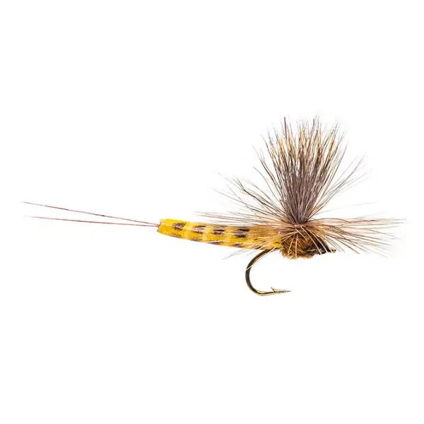 Elk Wing Danica mosca seca