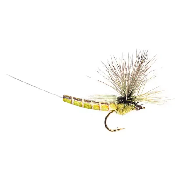 Elk Wing Green Drake Eastern mosca seca
