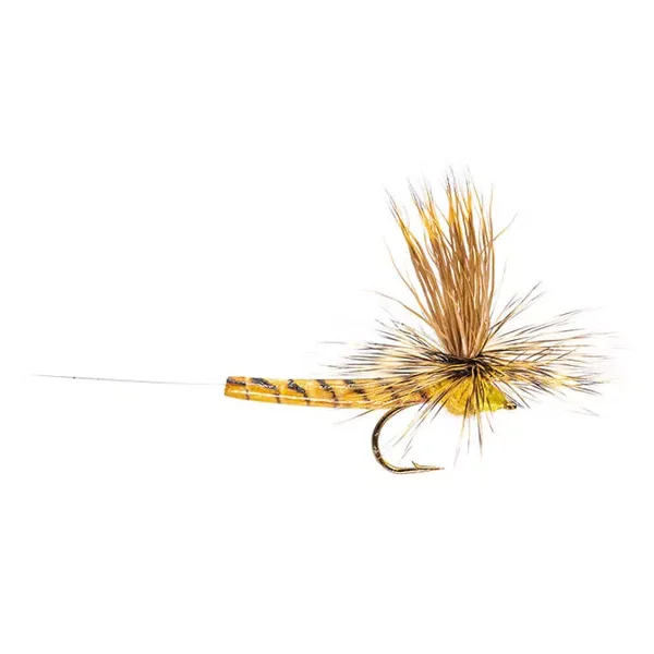Elk Wing Hexagenia mosca seca