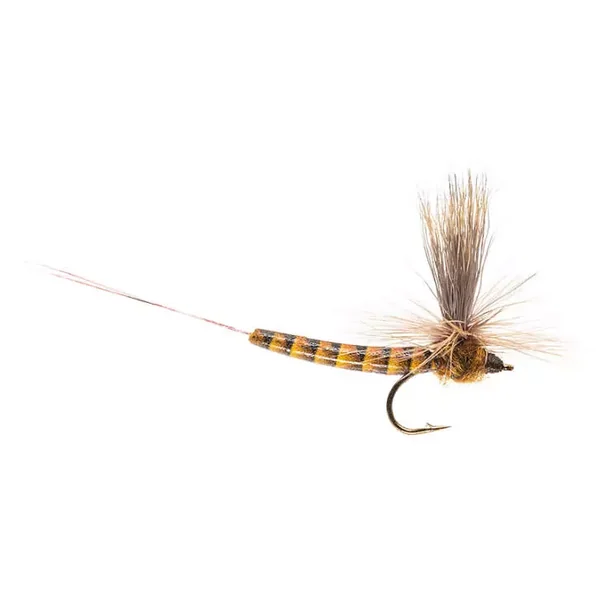 Elk Wing Mayfly Brown mosca seca