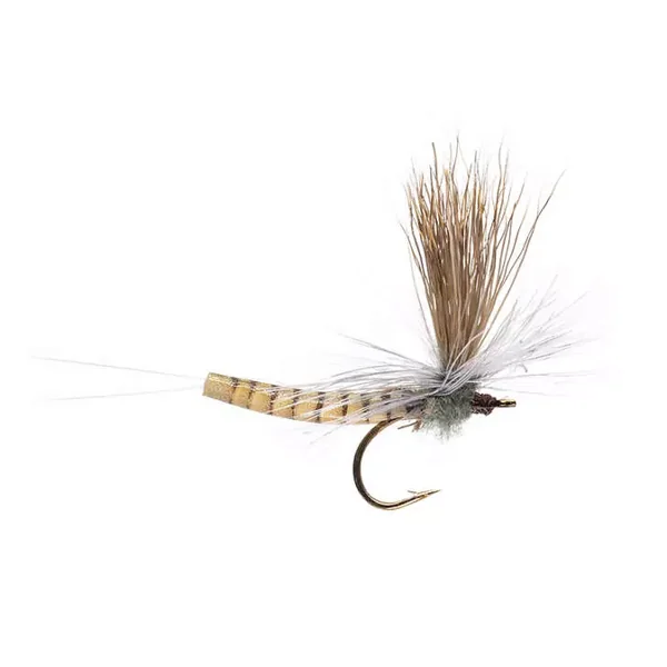 Elk Wing Mayfly Grey mosca seca