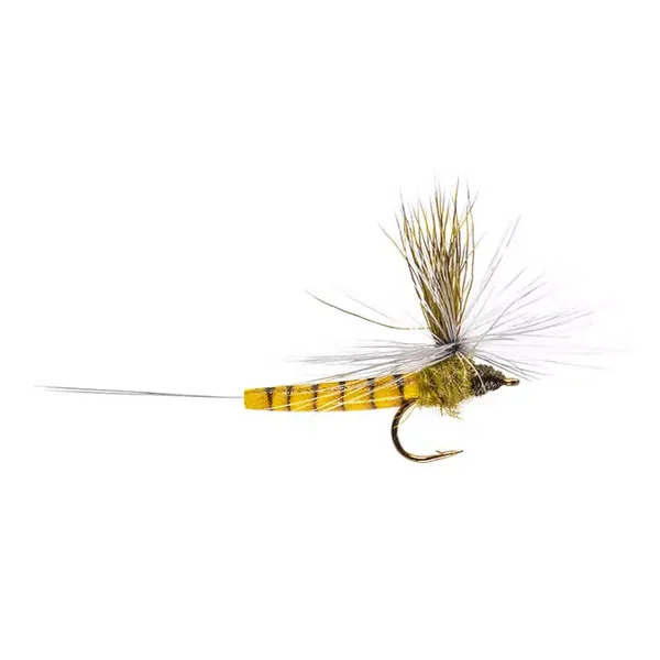 Elk Wing Mayfly Olive mosca seca