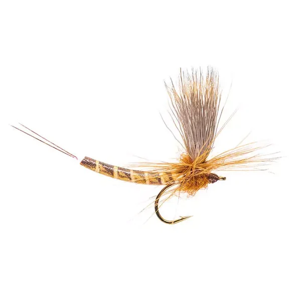 Elk Wing Vulgata mosca seca