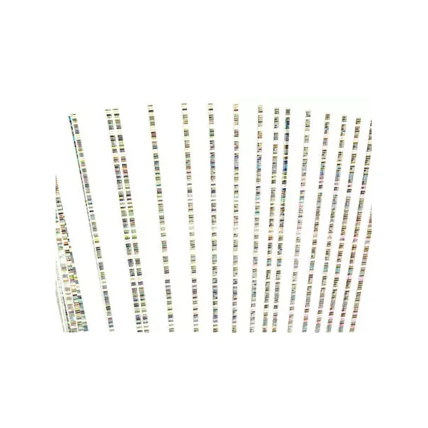 EVO PERDIGON BUZZER QUILL hotfly - 0,75 mm - Imagen 2