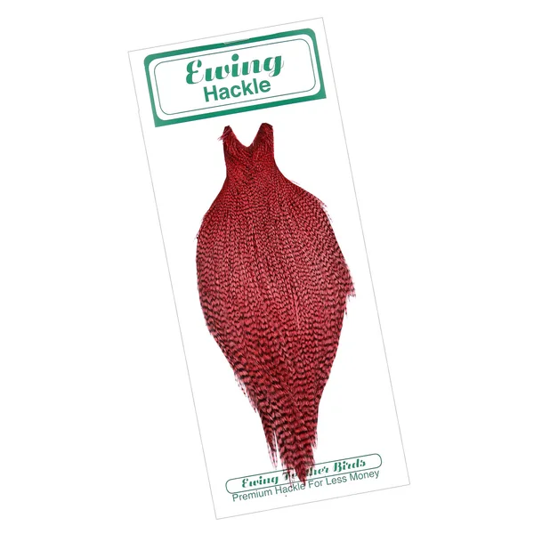 Ewing Grizzly Dryfly Cabo Grado #1