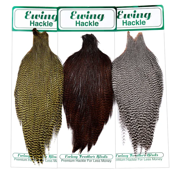 Ewing Grizzly Dryfly Cabo Grado #1 - Imagen 2