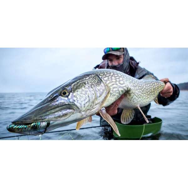 Fly Fishing for Pike