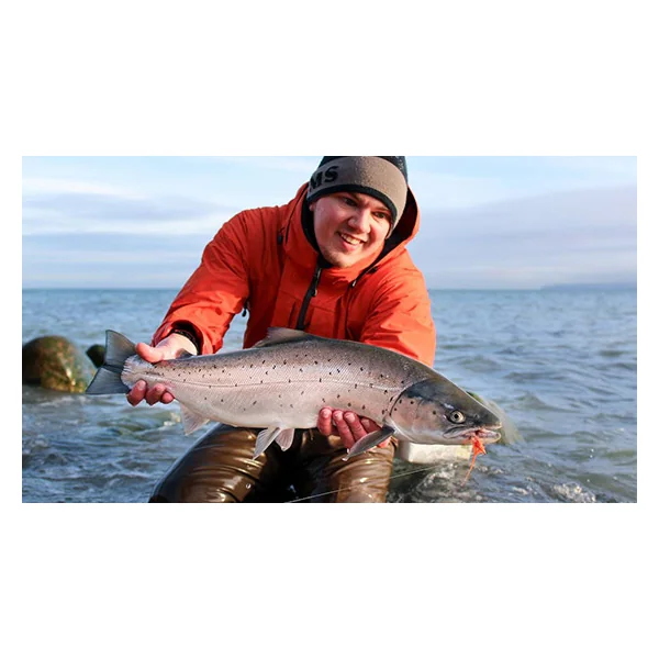 Fly Fishing for Sea Trout