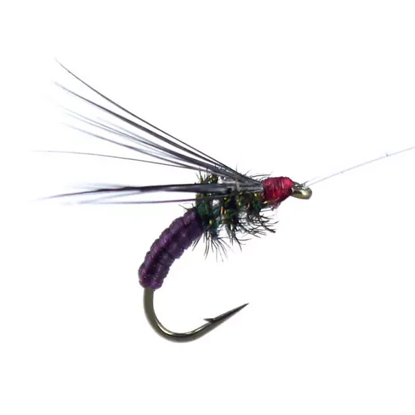 Franz Bipeack Claret ninfa para cuerda