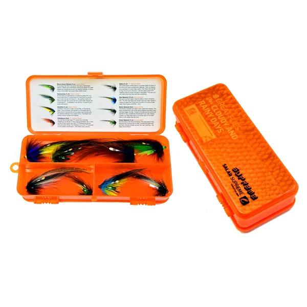 Frödin Fly Selection Cloudy & Rainy Days fly set