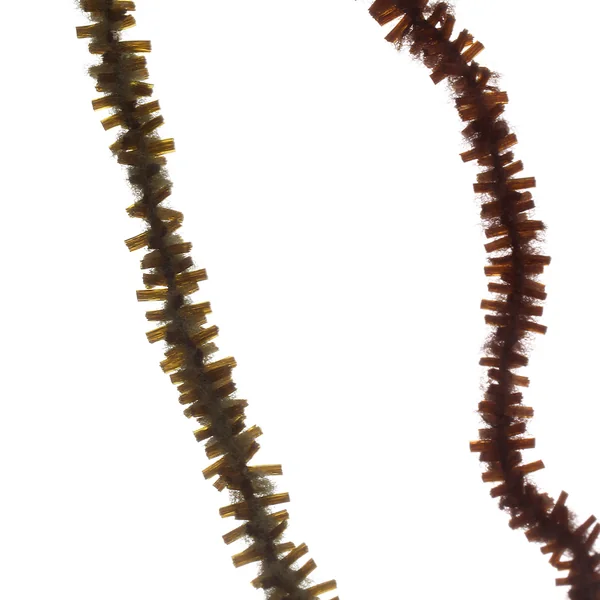 Fulling Mill Premium Gusano Masticable Chenille Pequeño 3mm - Imagen 8