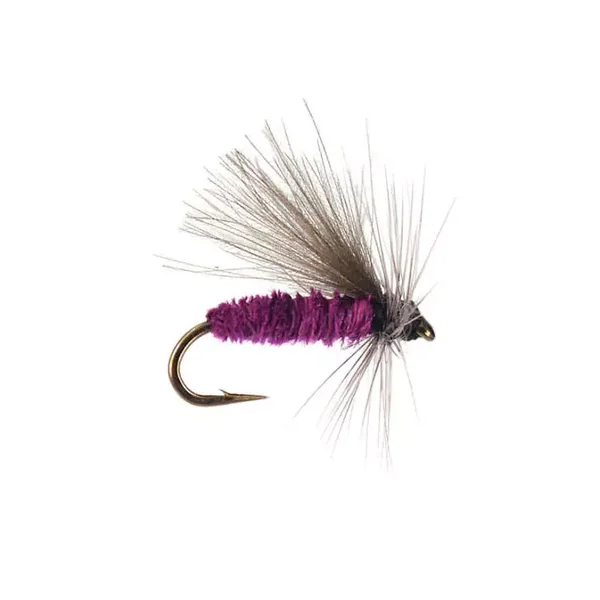 G1 Grayling CDC - Violet mosca tímalo