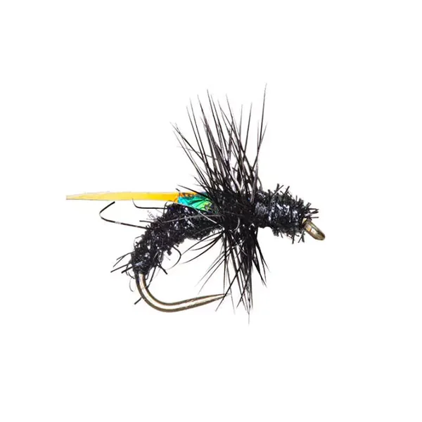 G7 Black Ant 01 mosca terrestre