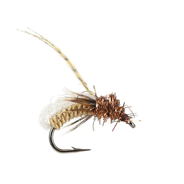 Gallatin Glo Pupa - Spotted Sedge ninfa