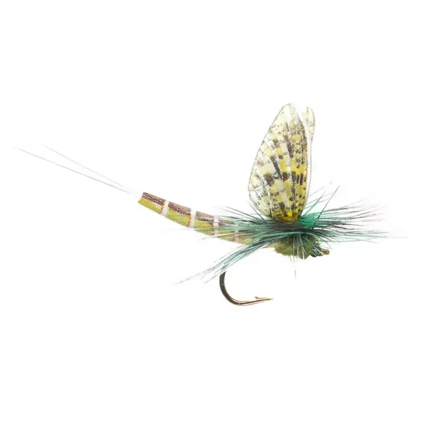 Green Drake Eastern mosca seca