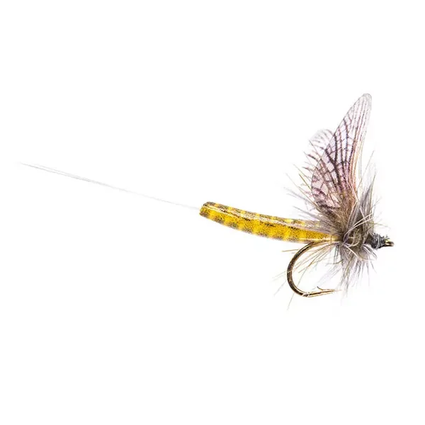 Green Drake Western CDC mosca seca