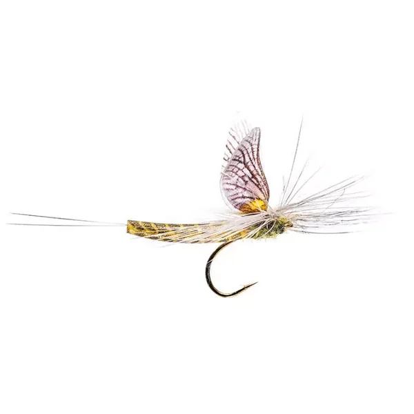 Green Drake Western Para mosca seca